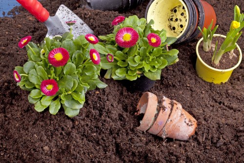 Local lawn care service for a residential garden in Upminster