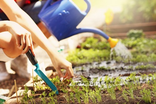 Professional planting services for a front garden in Upminster