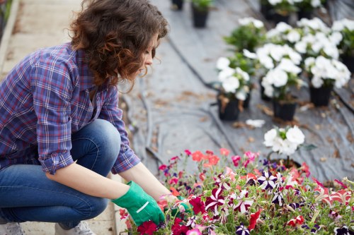 Landscaping pricing information for Upminster garden clearance jobs