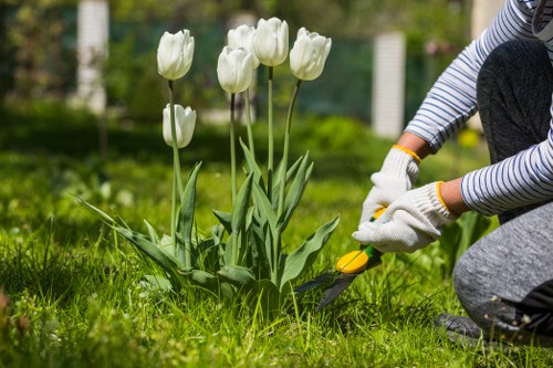 Garden maintenance work in a tidy Upminster residential garden