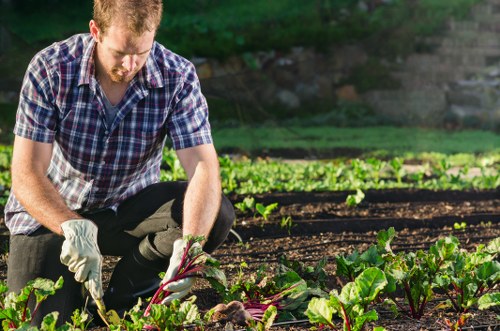 Local lawn mowing service in Upminster for neat residential gardens