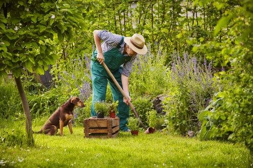 Professional fence maintenance and repair in Upminster