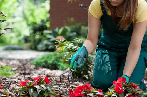 Landscapers Upminster creating a welcoming outdoor garden space