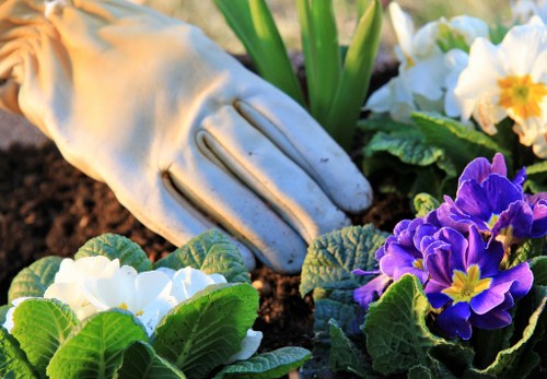 Garden design and planting features in Upminster