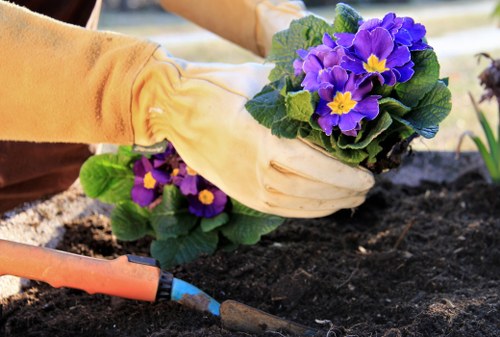 Clearing a residential garden in Upminster before landscaping or re-use