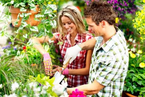 Lawn mowing work on a typical Upminster family garden