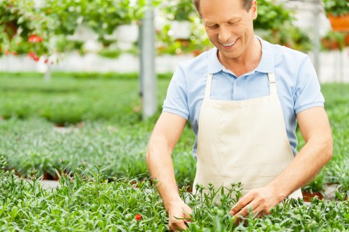 A professional landscaping project showing lawn and patio improvements in Upminster