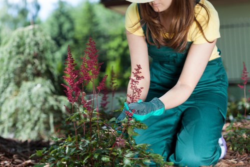 Transparent cubic-yard rates for garden waste removal in Upminster