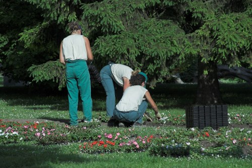 Regular lawn care service for homes and businesses in Upminster