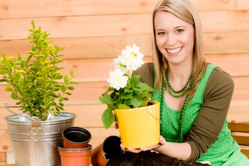 Final policy review for landscaping and rubbish removal operations