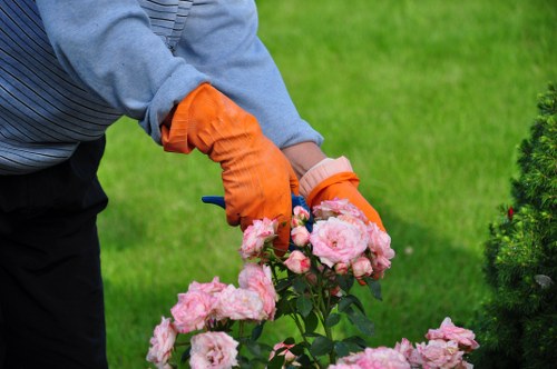 Risk assessment and safety checks before landscaping work