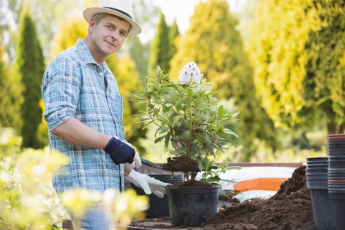 Commercial grounds maintenance and landscaping in Upminster
