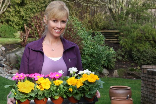 Balanced planting and hard landscaping in an Upminster garden