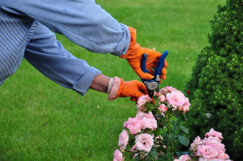 Local landscaping services for an Upminster property frontage