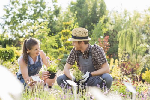 Commercial grounds and lawn maintenance in Upminster