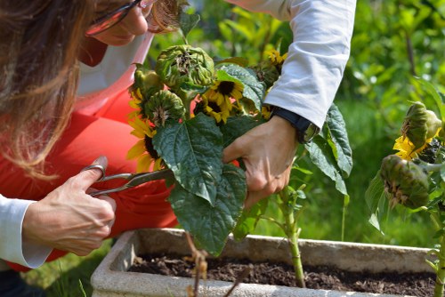 Annual policy review for modern slavery compliance in landscaping